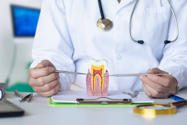 Best Emergency Dentist for Knocked-Out Tooth in Fairmont, IL